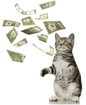 kat geld